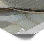 Prähistorische Kiefer Poster (Ecke)