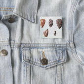 Prähistorische Steinwerkzeuge, von Grotte De Button (Beispiel)