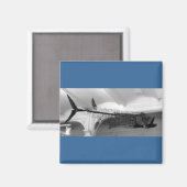 Prähistorischer Fisch B+W Magnet (Vorderseite/Rückseite)