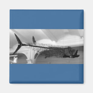 Prähistorischer Fisch B+W Magnet