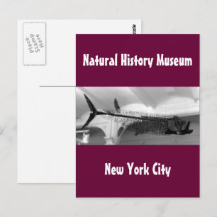 Prähistorischer Fisch B+W Postkarte