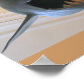 Prähistorischer Hai Poster (Ecke)