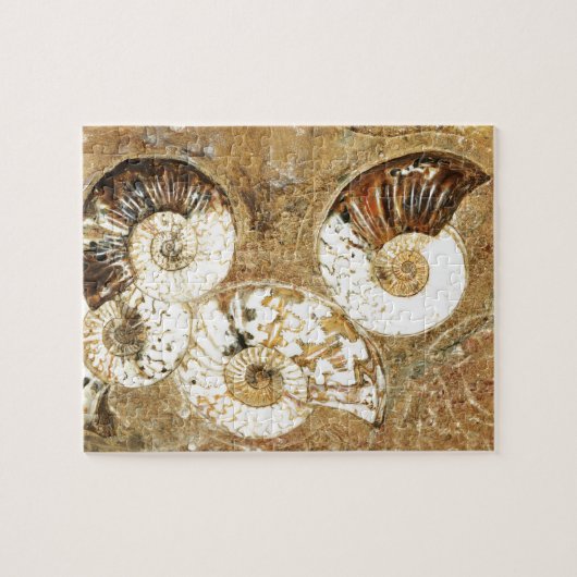 Prähistorischer Hintergrund mit versteinerten Puzzle (Horizontal)
