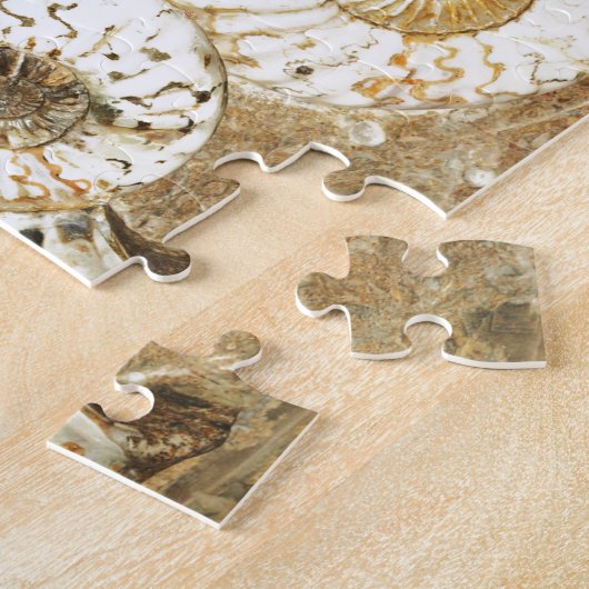 Prähistorischer Hintergrund mit versteinerten Puzzle (Seite)