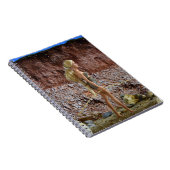 prähistorisches Leben. Notizblock (Rechte Seite)