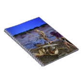 prähistorisches Leben. Notizblock (Rechte Seite)