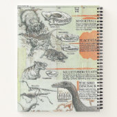Prähistorisches Notizbuch (Rückseite)