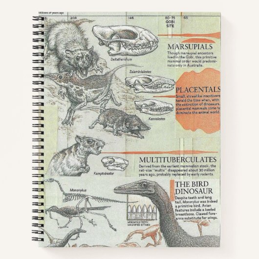 Prähistorisches Notizbuch (Vorderseite)