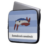 Prähistorisches Tier Anomalocaris canadensis Laptopschutzhülle (Vorderseite Links)