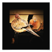 Prähorn Fotodruck (Vorne)