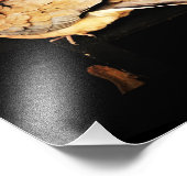 Prähorn Fotodruck (Ecke)