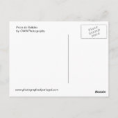 Praia do Beliche Postkarte (Rückseite)