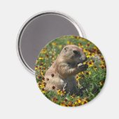 Praire Dog Magnet (Vorderseite/Rückseite)