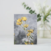 Prairie Beauty Postkarte (Stehend Vorderseite)