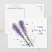 Prairie Blazing Star Post Card Postkarte (Vorne/Hinten)