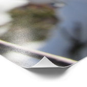 ‚Prairie Blossom‘ Fotodruck (Ecke)