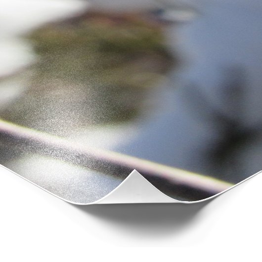 ‚Prairie Blossom‘ Fotodruck (Ecke)