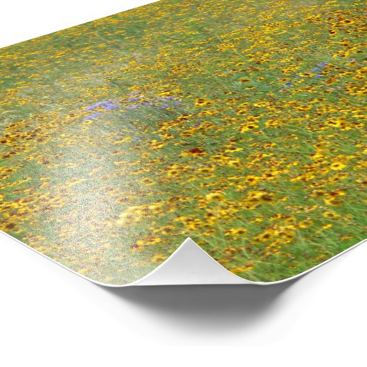 Prairie Blume Fotodruck (Ecke)