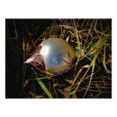 "Prairie Cheer" Fotodruck (Vorne)