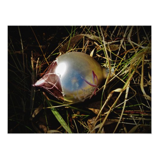 "Prairie Cheer" Fotodruck (Vorne)