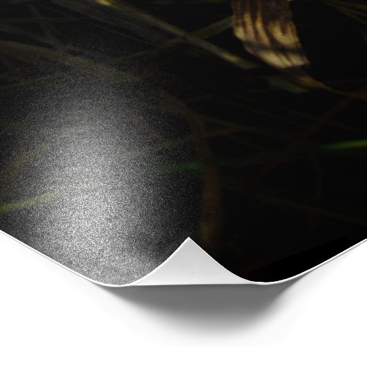 "Prairie Cheer" Fotodruck (Ecke)