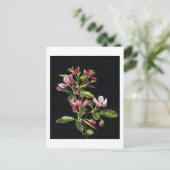 Prairie Crabapple Blossoms Postkarte (Stehend Vorderseite)