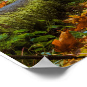 Prairie Creek Redwoods Herbstfarben Poster (Ecke)