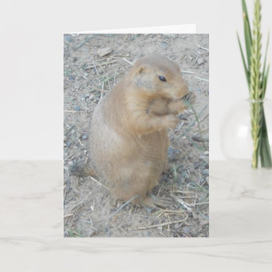"Prairie Dog #1" Dankeschön Karte (Vorderseite)