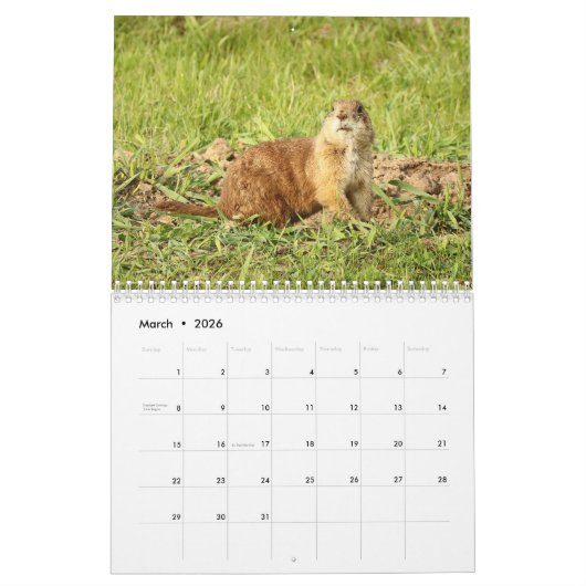 Prairie Dog 2026 12 Monatskalender Kalender (Mär 2026)