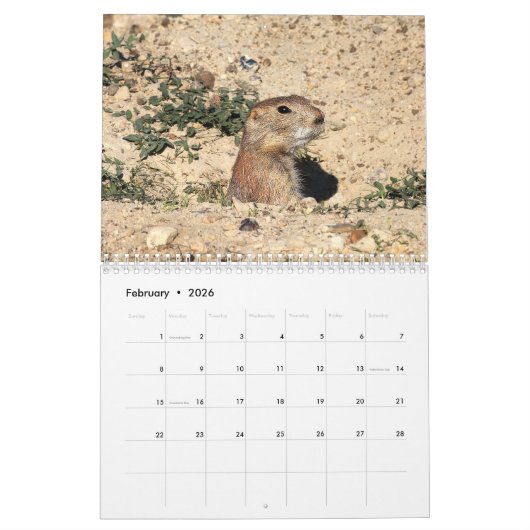 Prairie Dog 2026 12 Monatskalender Kalender (Feb 2026)