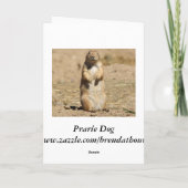 Prairie Dog Birthday Card Karte (Rückseite)