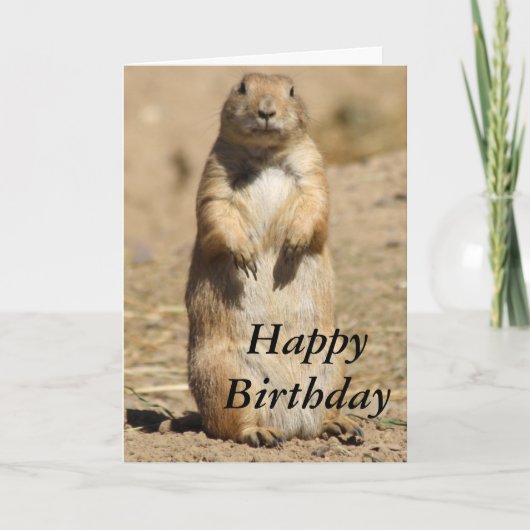 Prairie Dog Birthday Card Karte (Vorderseite)