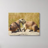 Prairie Dog Canvas Print Leinwanddruck (Vorderseite)