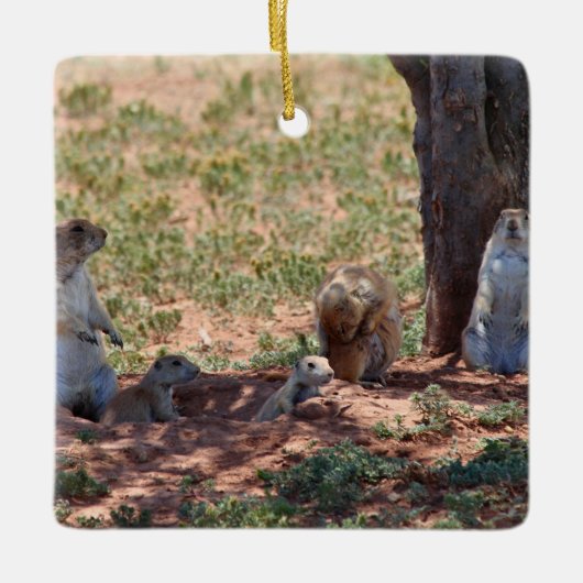 Prairie Dog Family Keramikornament (Vorderseite)