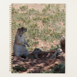 Prairie Dog Family Planer