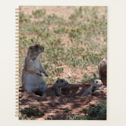 Prairie Dog Family Planer (Vorderseite)