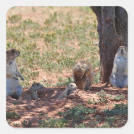 Prairie Dog Family Quadratischer Aufkleber