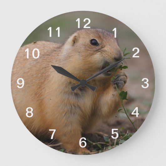 prairie dog große wanduhr (Vorderseite)