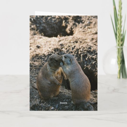 Prairie Dog Grußkarte Karte (Rückseite)