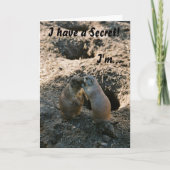 Prairie Dog Grußkarte Karte (Vorderseite)
