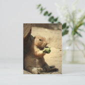 Prairie Dog Hangout Postcard Postkarte (Stehend Vorderseite)