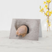 Prairie Dog Hintern Karte (Gelbe Blume)