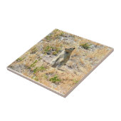 Prairie Dog in Yosemite, CA Fliese (Seite)