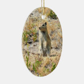 Prairie Dog in Yosemite, CA Keramik Ornament (Rechts)