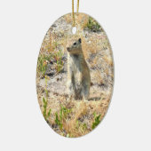 Prairie Dog in Yosemite, CA Keramik Ornament (Links)