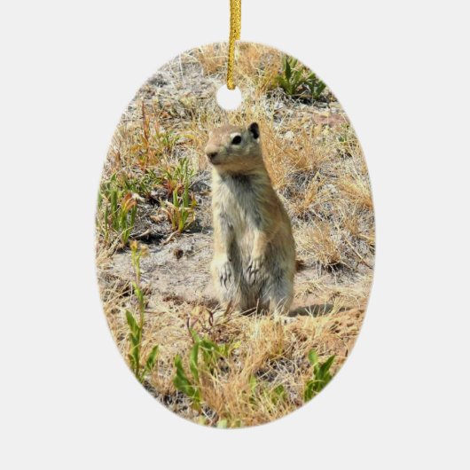 Prairie Dog in Yosemite, CA Keramik Ornament (Vorne)