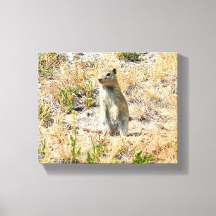 Prairie Dog in Yosemite, CA Leinwanddruck