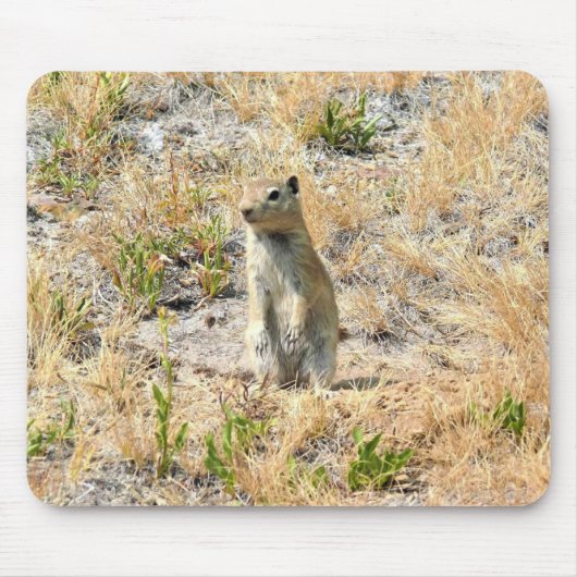 Prairie Dog in Yosemite, CA Mousepad (Vorne)