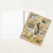 Prairie Dog in Yosemite, CA Planer (Anzeige)