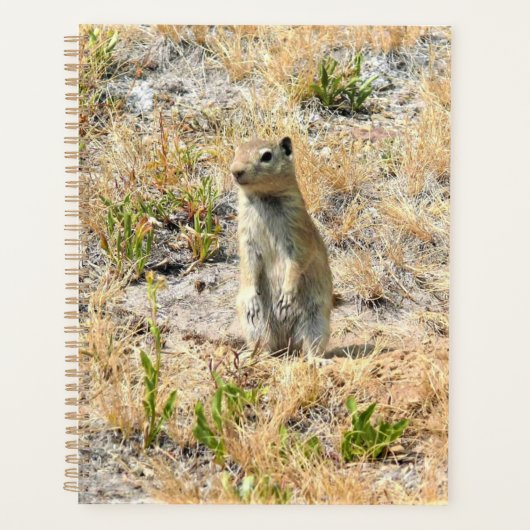 Prairie Dog in Yosemite, CA Planer (Vorderseite)